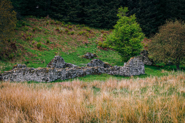 In Knapdale Forest, near the edge of Loch Coille Bharr, you can discover the remains of the township called Kilmory Oib. One of the earliest known references is in the 1694 Hearth Tax