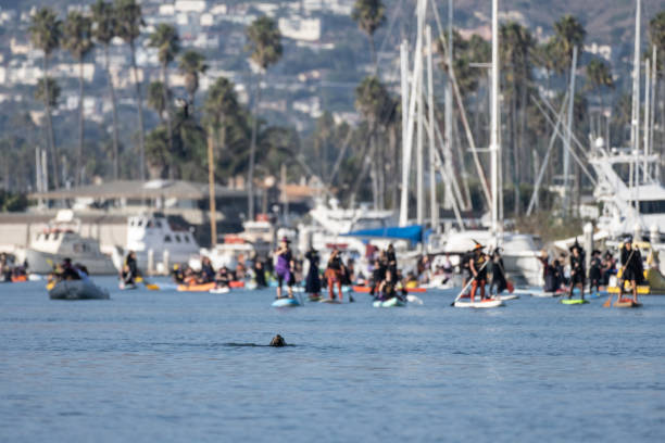 Ventura Witches Paddle 2024 in the harbor.