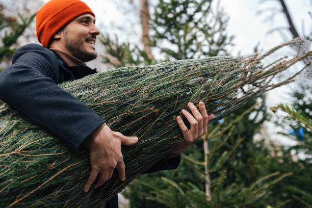 istock Man Carrying Christmas Tree in Festive Outdoor Setting 2183898462