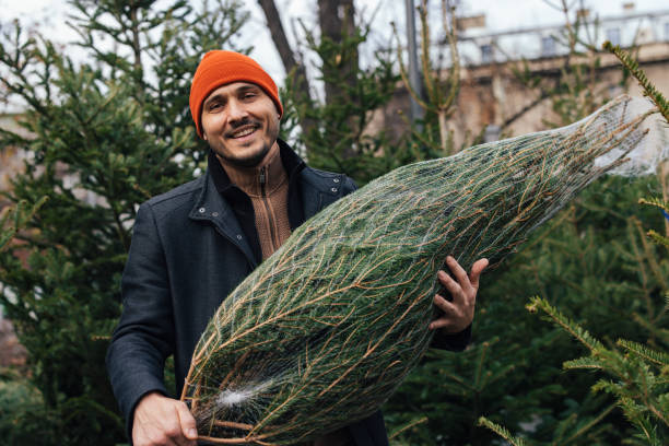 istock Smiling Man Carrying A Christmas Tree in Outdoors Forest Setting 2183898477