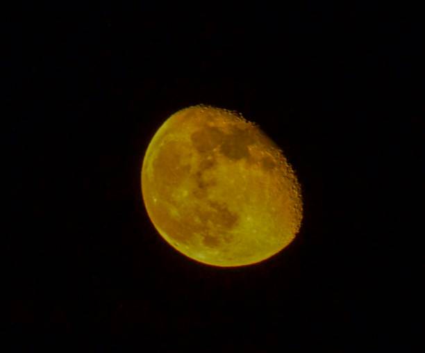 Experience the beauty of the waxing gibbous moon glowing with a golden hue against the dark night sky. This detailed, high-resolution image showcases the moon's craters and texture ideal for astronomy