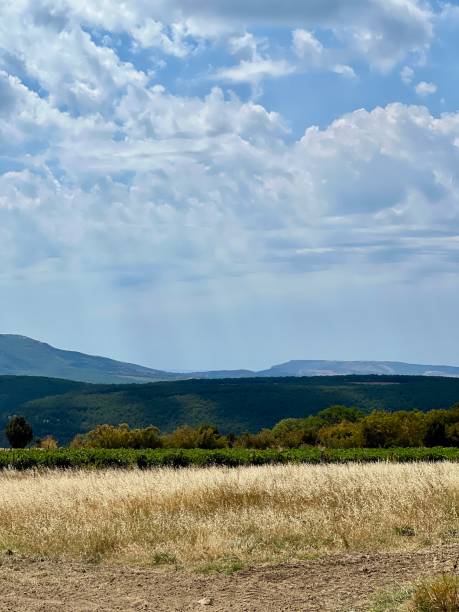 istock Golden field with distant hills under a sky filled with fluffy clouds 2183899528