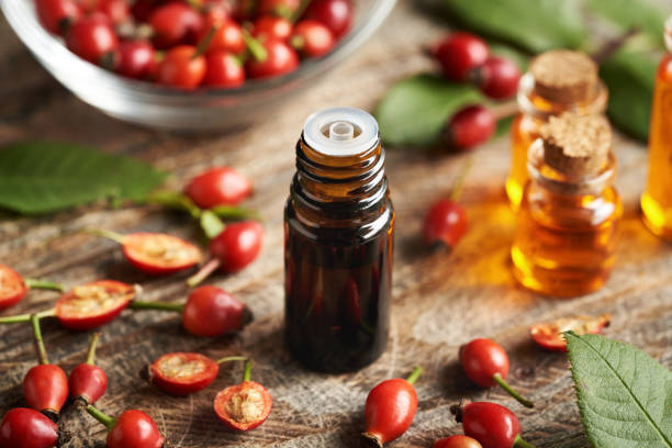 istock Rosehip seed oil with fresh rose hips on a table 2183902859