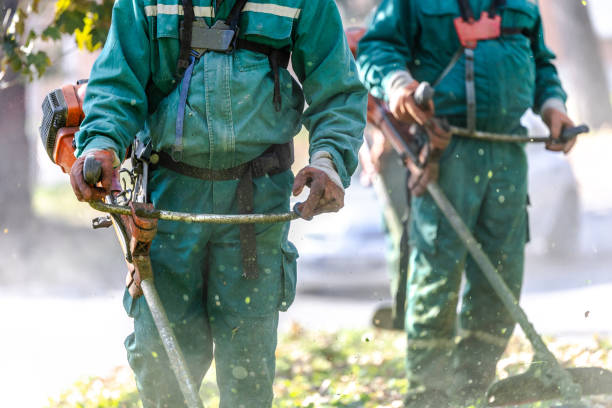 istock Workers in green uniforms using trimmers to maintain park landscape on a sunny afternoon 2183903458
