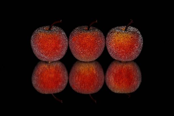 istock Glittery Sparkling Christmas Apples. 2183903514