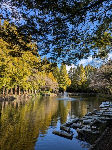 istock Autumn in Japan. 2183903838