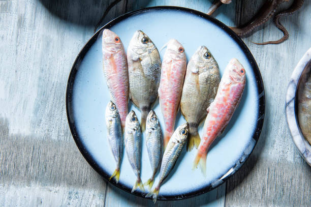 istock Fresh red mullet, dorado and sardines ready to be cooked at a restaurant 2183903870
