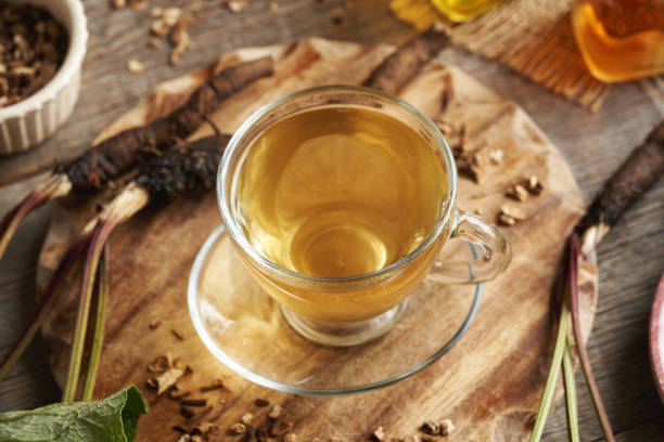 istock Herbal tea made of fresh burdock root 2183904112