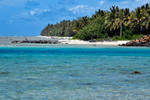 Avarua, Rarotonga, Cook Islands: emerald waters beach, lined by tropical trees - north coast, looking east towards Pue.