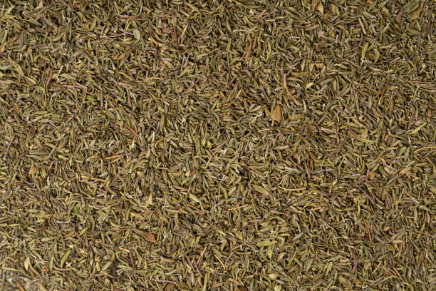istock Dry thyme texture, dried marjoram pattern, oregano pile background, ground crushed thyme seasoning mockup 2183907129