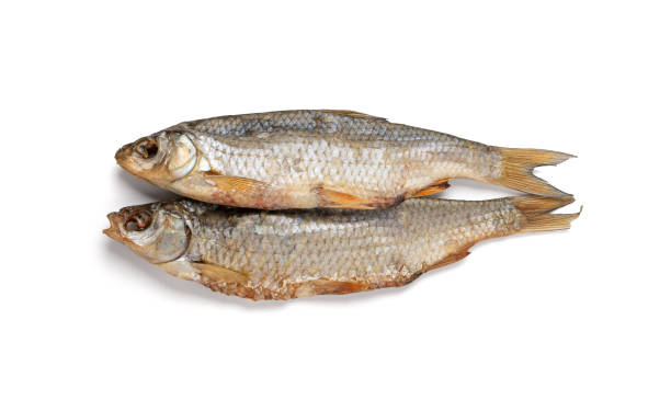 istock Dry roach, salted fish isolated, dried rutilus, taranka beer snack, whole salted and dried fish, prepared seafood 2183907281