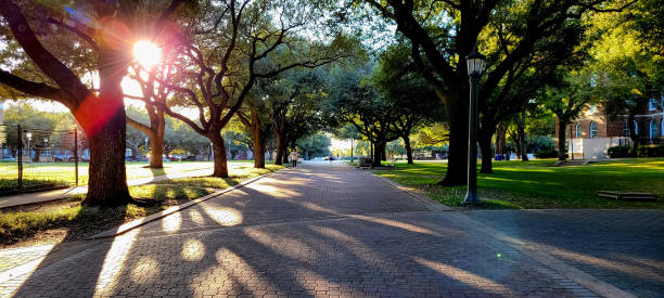SMU Campus Scenery, Dallas, Texas