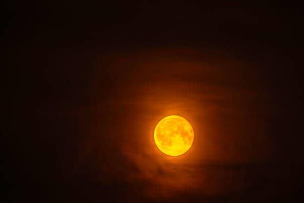 Bright full moon glowing orange against dark night sky, creating dramatic and mysterious atmosphere.