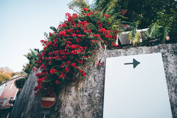 A rustic concrete wall adorned with vibrant red flowers cascades down the side, complemented by tropical greenery. A mockup space with a directional arrow sign for your message