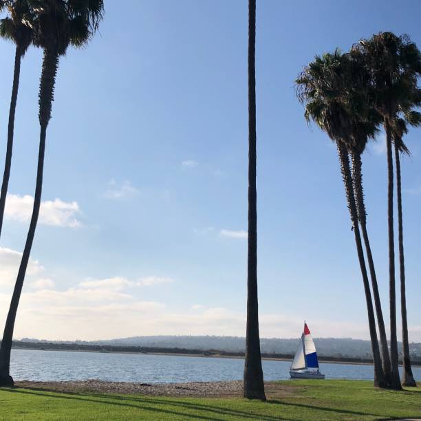 istock The Sailing Dutchman in San Diego 2183918396