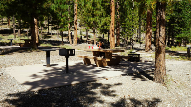 istock Mt Charleston summer home area 2183918663