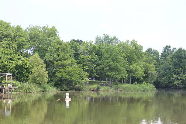 istock Woods next to Lake 2183918784