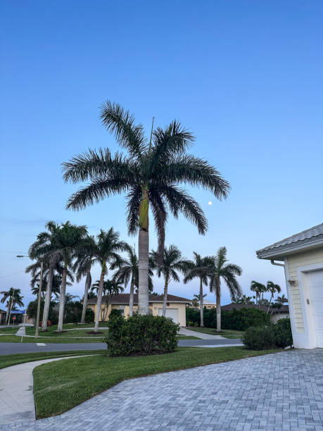istock Moon Rising Over Palm Tree Houses 2183923248