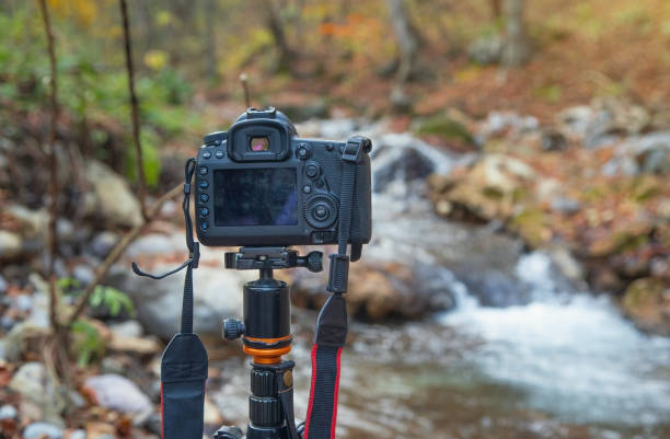 istock Professional camera taking picture in nature. 2183926574