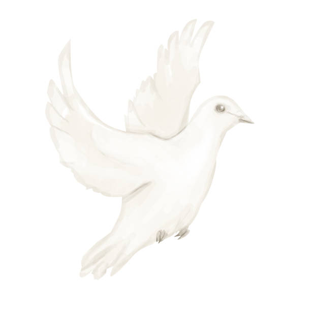 istock Dove Beige in Flight Illustration Digital Watercolor for Printing and Web 2183926581
