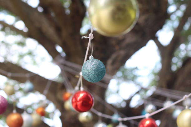 Seasons Greetings with Christmas balls on Pine Tree. Christmas concept.