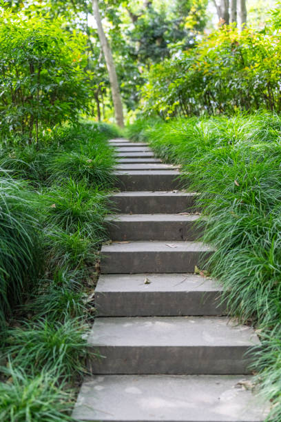 Stone steps among green trees in the park