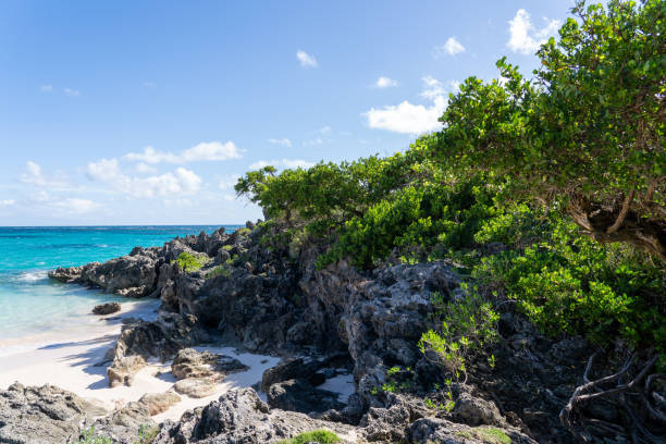istock Serene beach scene at John Smith Bay on Bermuda Island with clear blue waters 2183942270