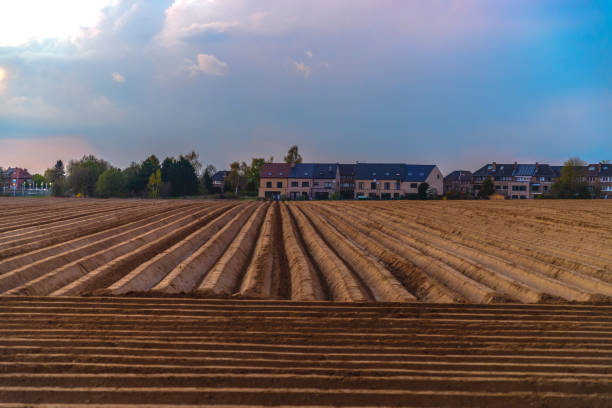 Beautiful landscapes of ploughed farms in rural Belgium