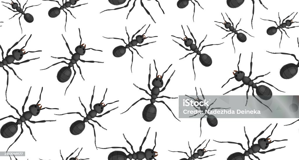 Ant Pattern Real Seamless Pattern Of Ants Realistic Black Ant On White Background Path ...