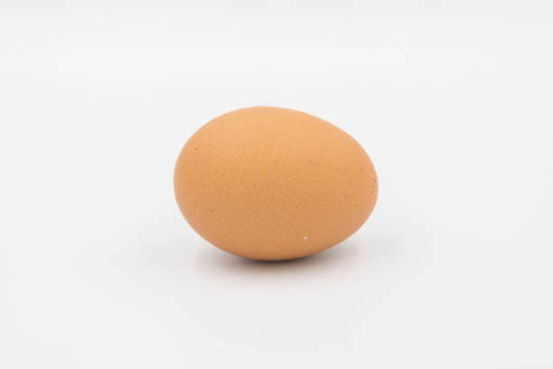 istock Chicken eggs on white background,  egg isolated on the white background, Close-up view of raw chicken eggs, chicken egg isolated on white background, Raw eggs on white background 2183954119