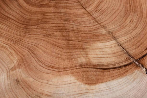 istock Empty color of brown surface on nature pattern desk board. 2183963574