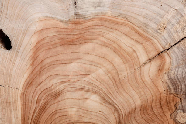 istock Color of brown surface eroded by time suitable for design element. 2183963815