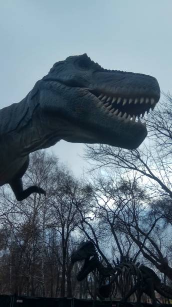 istock model of a dinosaur in a city park 2183963980