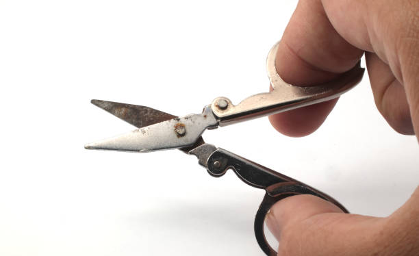 istock A hand holding the scissors in an open position, angled to show both blades and handles on a white background. 2183964762