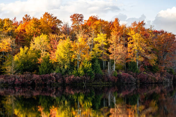 istock Fall Colors Lake Jean Ricketts Glen State Park 2183965115