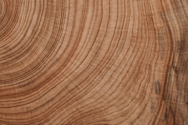 istock Empty color of brown surface on nature pattern desk board. 2183965235