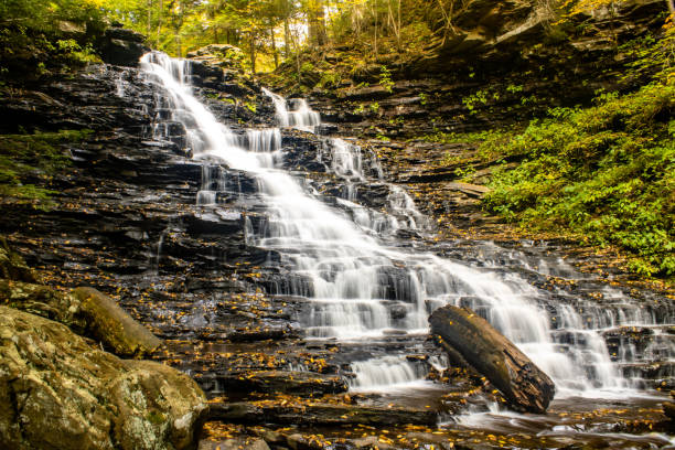 istock Waterfall of Ricketts Glen State Park 2183965931