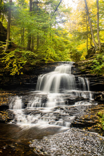 istock Waterfall of Ricketts Glen State Park 2183965940