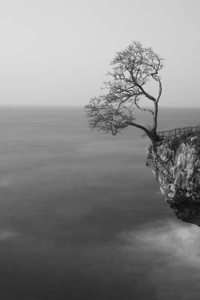 istock Landscape and seascape around Sawarna Beach 2183970776