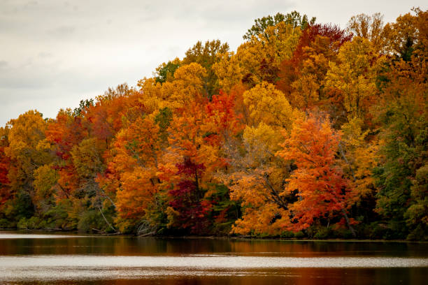 istock Fall colors along the lake 2183972567