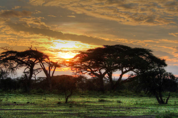 istock Sunrise or Sunset in Kenya (East Africa) 2183978939