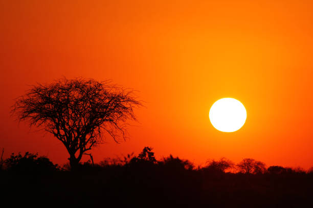 istock Sunrise or Sunset in Kenya (East Africa) 2183978942