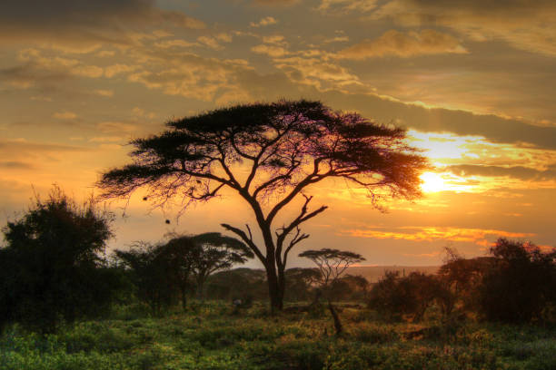 Sunrise or Sunset in Kenya (East Africa)