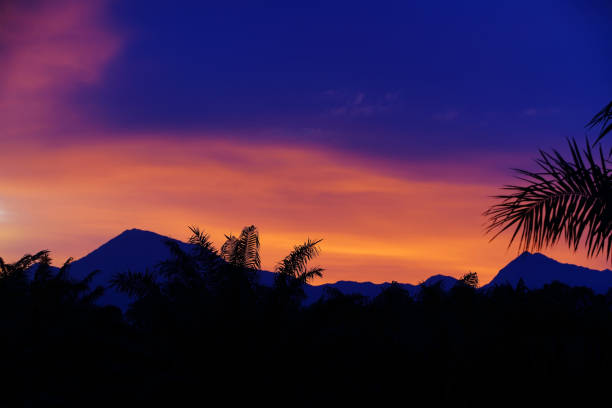 Majestic Twilight Landscape Featuring Silhouetted Mountains and Palm Trees Under a Colorful Sunset Sky with Vibrant Hues of Orange, Blue, and Purple