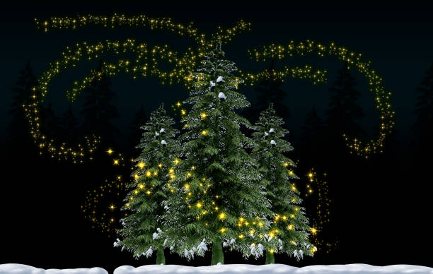 Three christmas trees covered with snow and glowing fairy lights in a forest at night create a magical christmas atmosphere