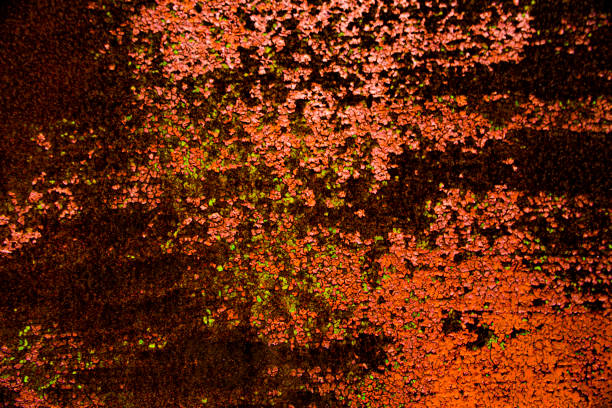 Grunge rusty metal texture background vector illustration