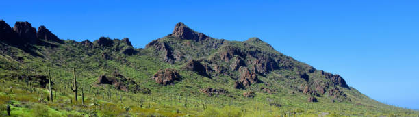 istock After The Rain Sonora Desert Arizona Picacho Peak State Park 2183985692