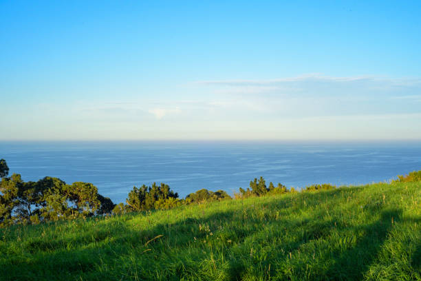 istock Sea horizon by green meadow 2183985856