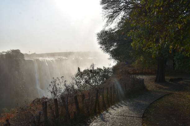 A walking path with trees along the Victoria Falls, in Zimbabwe