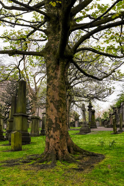 istock Saint Cuthbert's Churchyard in Edinburgh 2183988824